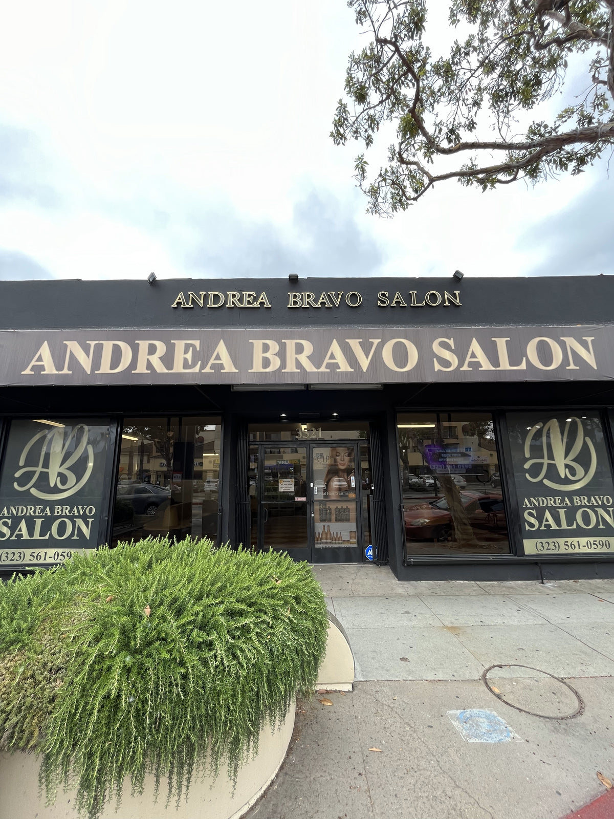 Andrea Bravo Salon Outside 